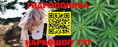стафф Балаково