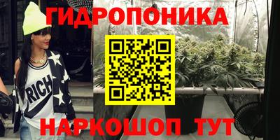 стафф Балаково